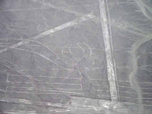 Nazca 031